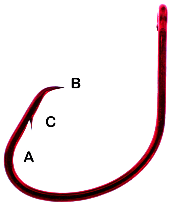 What is the anatomy of a winning circle hook?